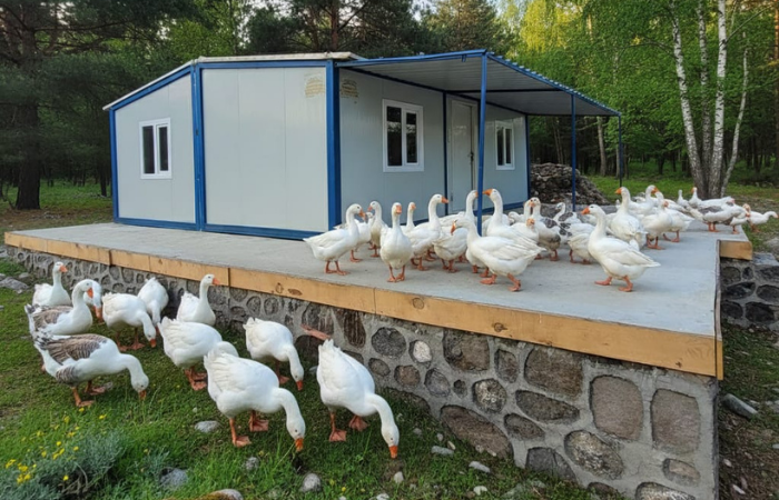 verandalikonteyner_kafkaskonteyner